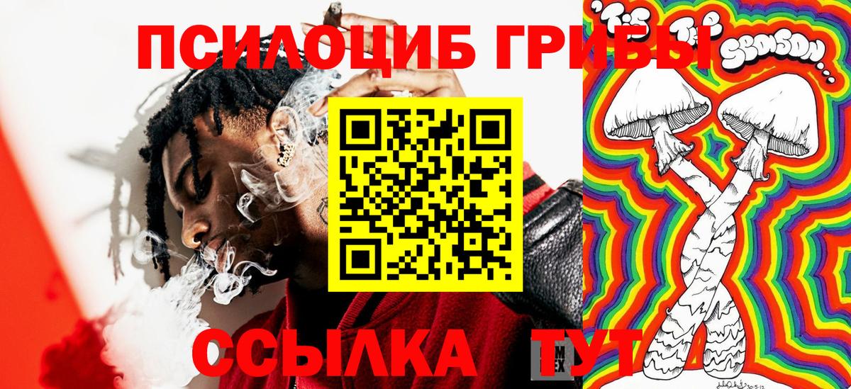 Псилоцибиновые грибы Psilocybine cubensis Родники
