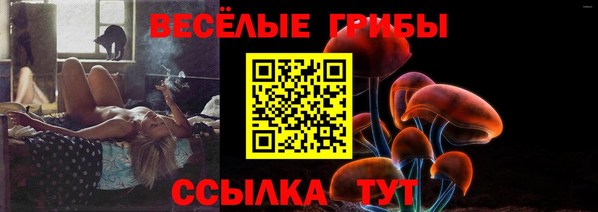 Родники  Псилоцибиновые грибы ЛСД  Галлюциногенные грибы GOLDEN TEACHER  Вход с VPN 